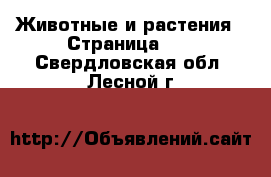 Животные и растения - Страница 32 . Свердловская обл.,Лесной г.